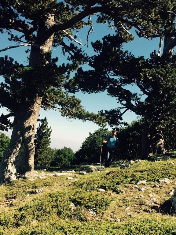 La Stella Del Pollino Hotel San Lorenzo Bellizzi Luaran gambar