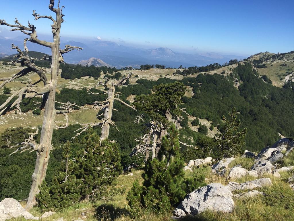 La Stella Del Pollino Hotel San Lorenzo Bellizzi Luaran gambar